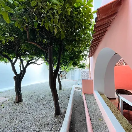 Pomelia, Nel Corso Di A 50 Mt Dal Mare *